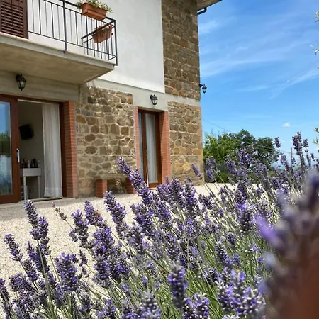 Podere Belsogno-bilocale Ulivo 4* Montalcino