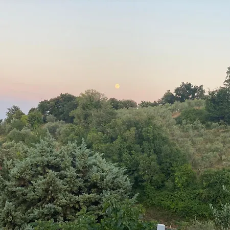 Podere Belsogno-bilocale Ulivo Montalcino